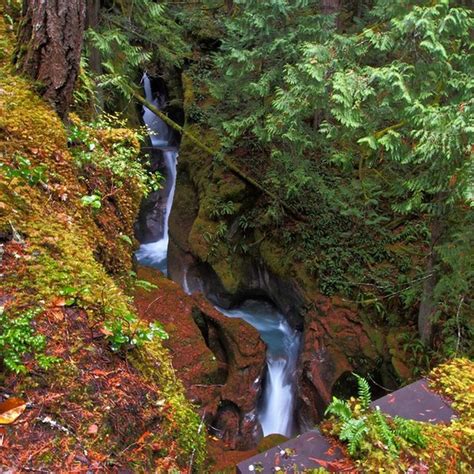 wicked creek falls|Ladder Creek Falls — Washington Trails Association.